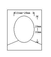 護(hù)照照片尺寸規(guī)格要求